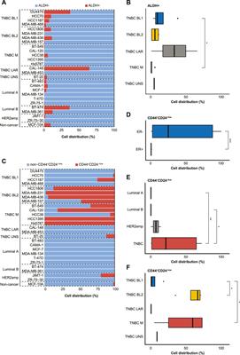 Cancer stem cells are prevalent in the basal-like 2 and mesenchymal triple-negative breast cancer subtypes in vitro